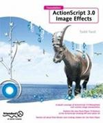 Foundation ActionScript 3.0 Image Effects