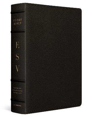 ESV Study Bible, Large Print - cover