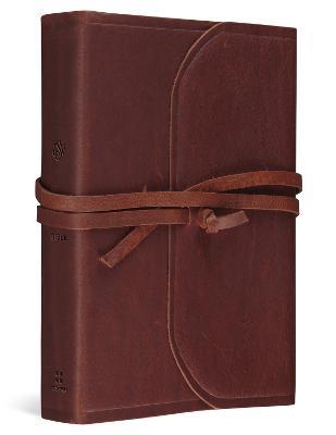 ESV Student Study Bible - cover