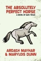 The Absolutely Perfect Horse: A Novel of East Texas - Ardath Mayhar,Marylois Dunn - cover