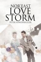 Nor'east Love Storm