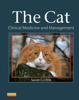 The Cat: Clinical Medicine and Management - Susan Little - cover