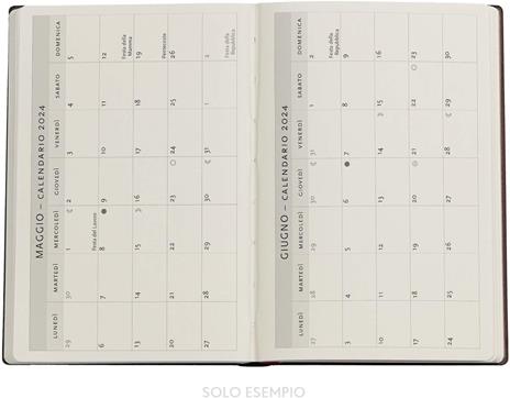 Agenda Paperblanks 2024, 12 mesi, Mini, Orizzontale, Aurelia, Aurelia - 9,5 x 14 cm - 5