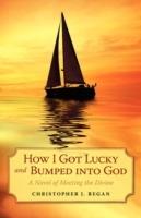 How I Got Lucky and Bumped into God: A Novel of Meeting the Divine - Christopher J Regan - cover