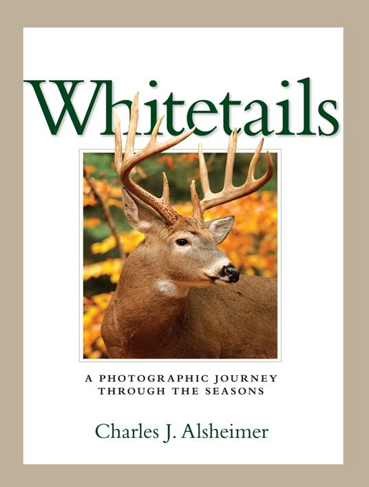 Whitetails