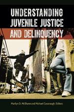 Understanding Juvenile Justice and Delinquency