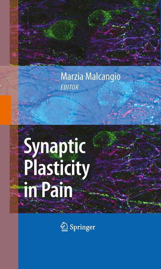 Synaptic Plasticity in Pain