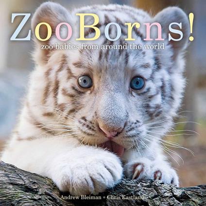 ZooBorns! - Andrew Bleiman,Chris Eastland - ebook
