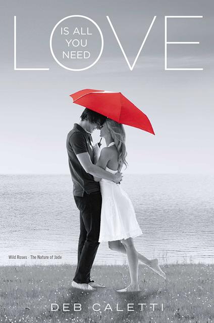 Love Is All You Need - Deb Caletti - ebook