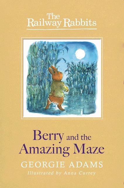 Berry and the Amazing Maze - Georgie Adams,Anna Currey - ebook