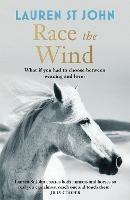 The One Dollar Horse: Race the Wind: Book 2