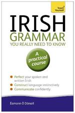 Irish Grammar You Really Need to Know: Teach Yourself