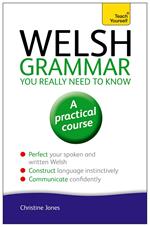 Welsh Grammar You Really Need to Know: Teach Yourself