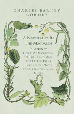 A Naturalist In The Magdalen Islands - Giving A Description Of The Islands And List Of The Birds Taken There, With Other Ornithological Notes - Charles Barney Cory - cover