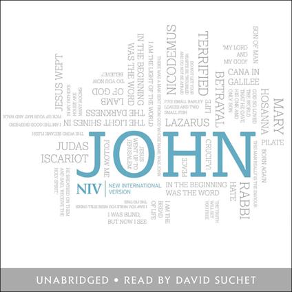 NIV Bible: Gospel of John