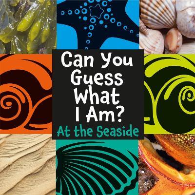 Can You Guess What I Am?: At the Seaside - J.P. Percy - cover