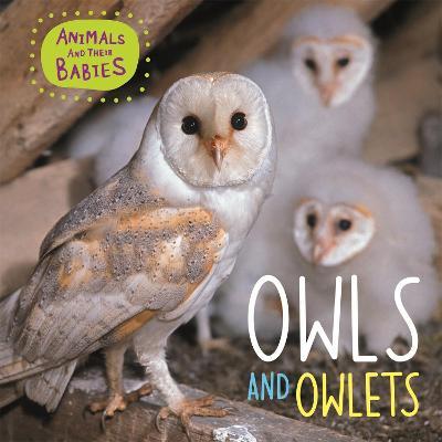 Animals and their Babies: Owls & Owlets - Annabelle Lynch - cover