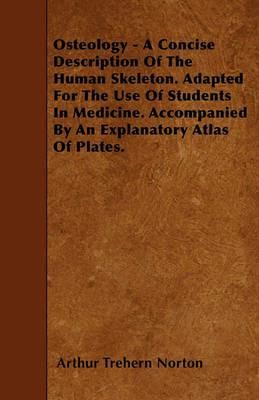 Osteology - A Concise Description Of The Human Skeleton. Adapted For The Use Of Students In Medicine. Accompanied By An Explanatory Atlas Of Plates. - Arthur Trehern Norton - cover