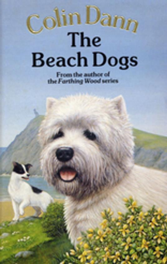 The Beach Dogs - Colin Dann - ebook