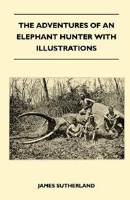 The Adventures Of An Elephant Hunter With Illustrations