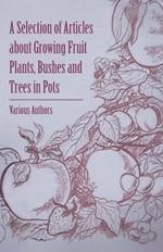 A Selection of Articles About Growing Fruit Plants, Bushes and Trees in Pots