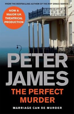 The Perfect Murder - Peter James - cover
