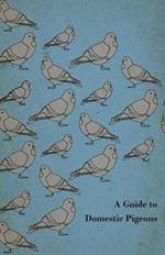 A Guide to Domestic Pigeons - With Chapters on Doves, Training and Their Habits