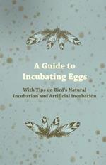 A Guide to Incubating Eggs - With Tips on Birds Natural Incubation and Artificial Incubation