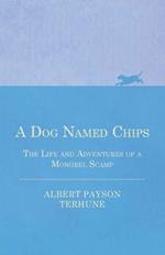 A Dog Named Chips - The Life and Adventures of a Mongrel Scamp