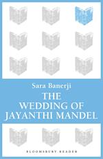 The Wedding of Jayanthi Mandel