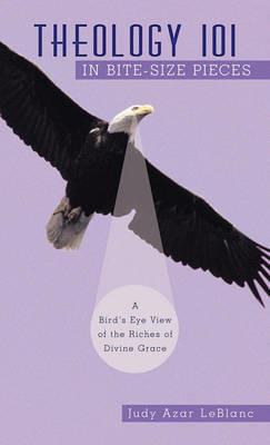 Theology 101 in Bite-Size Pieces: A Bird's Eye View of the Riches of Divine Grace - Judy Azar LeBlanc - cover
