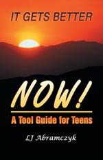 It Gets Better Now!: A Tool Guide for Teens