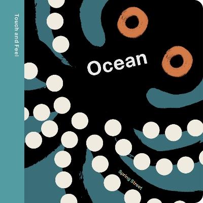 Spring Street Touch and Feel: Ocean - Boxer Books - cover