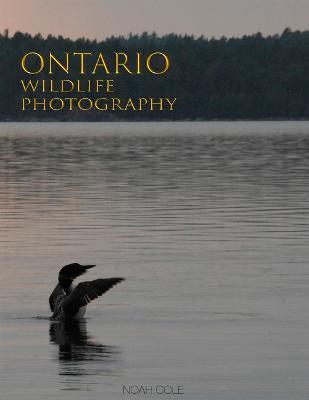 Ontario Wildlife Photography - Noah Cole - cover