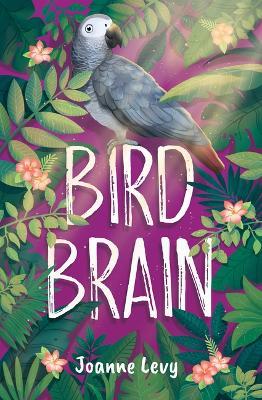 Bird Brain - Joanne Levy - cover