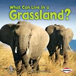 What Can Live in a Grassland?