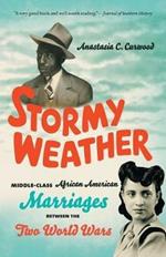 Stormy Weather: Middle-Class African American Marriages between the Two World Wars