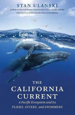 The California Current: A Pacific Ecosystem and Its Fliers, Divers, and Swimmers - Stan Ulanski - cover