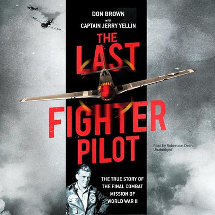 The Last Fighter Pilot