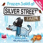 Frozen Solid at Silver Street Farm