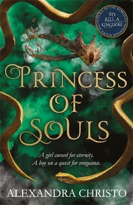 Princess of Souls: from the author of To Kill a Kingdom, the TikTok sensation! - Alexandra Christo - cover