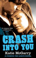 Crash into You (A Pushing the Limits Novel)