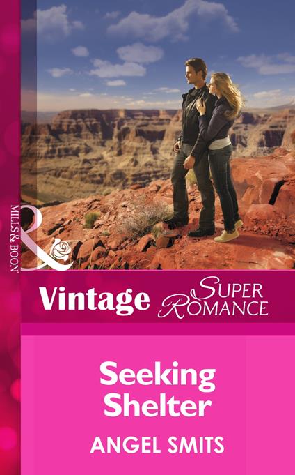 Seeking Shelter (Mills & Boon Vintage Superromance)