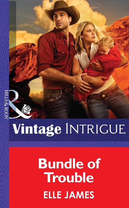 Bundle Of Trouble (Mills & Boon Intrigue)