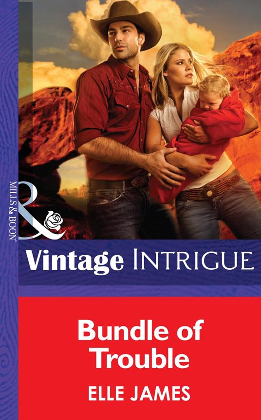 Bundle Of Trouble (Mills & Boon Intrigue)