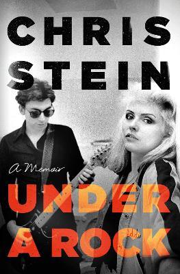 Under A Rock - Chris Stein - cover