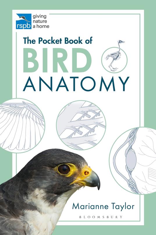 The Pocket Book of Bird Anatomy - Marianne Taylor, Ms - Ebook in inglese -  EPUB3 con Adobe DRM | IBS