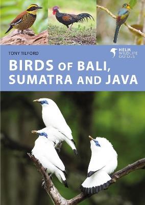 Birds of Bali, Sumatra and Java - Tony Tilford - cover