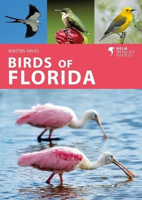 Birds of Florida - Kirsten Hines - cover