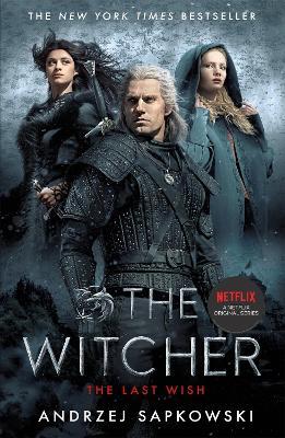 Il sangue degli elfi. The Witcher vol.3 di Andrzej Sapkowski